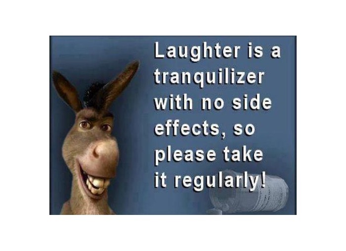 Quotes Laughing Is Healthy. QuotesGram