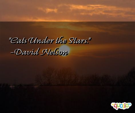  Under  The Stars  Quotes  QuotesGram