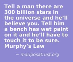 Murphys Law Quotes And Sayings. QuotesGram