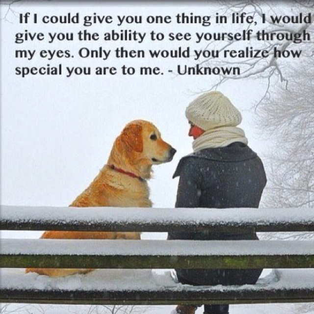 Unconditional Love Quotes For Pets QuotesGram
