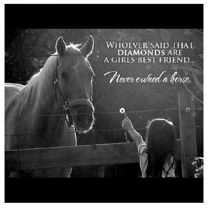 Death Horse Quotes. QuotesGram
