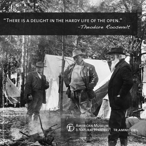 Theodore Roosevelt Nature Quotes. QuotesGram
