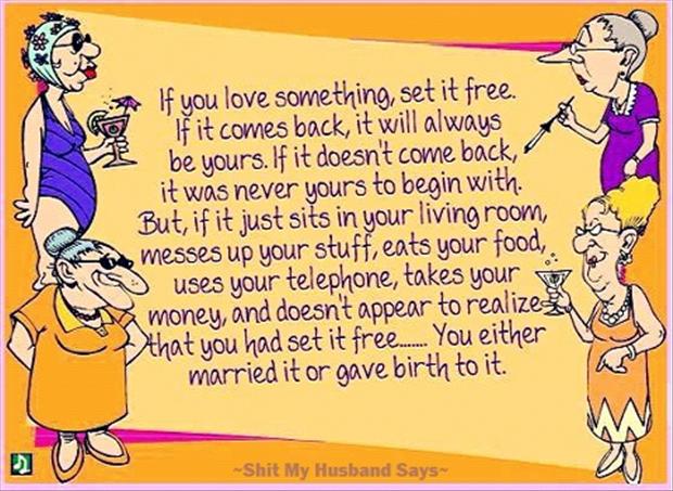 funny words of wisdom for marriage funny words of wisdom for marriage