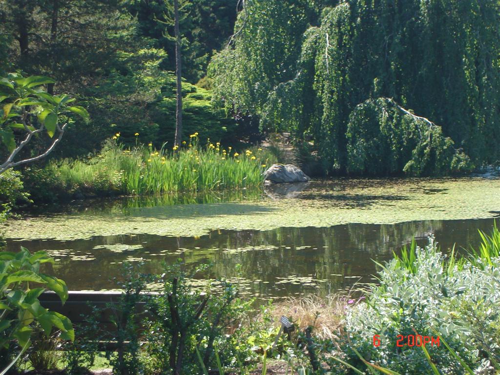 Summer Morning Quotes. QuotesGram