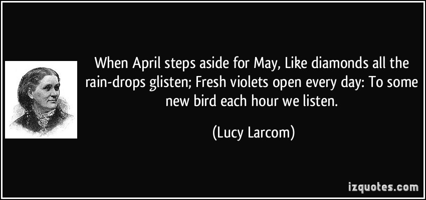  Funny Rain Quotes And Sayings  QuotesGram