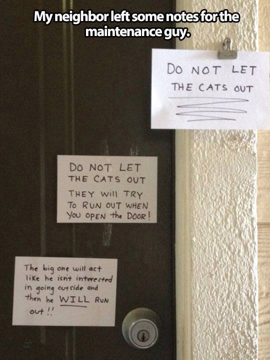 Apartment Maintenance Funny Quotes Quotesgram