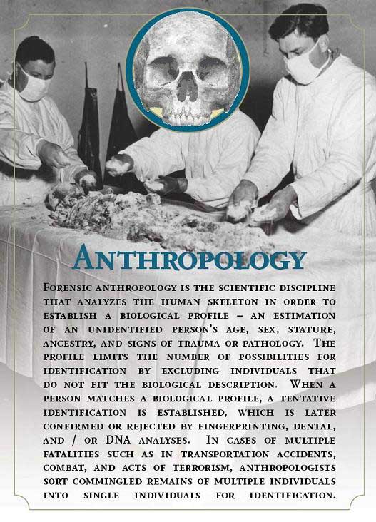 Forensic Anthropology Quotes. QuotesGram
