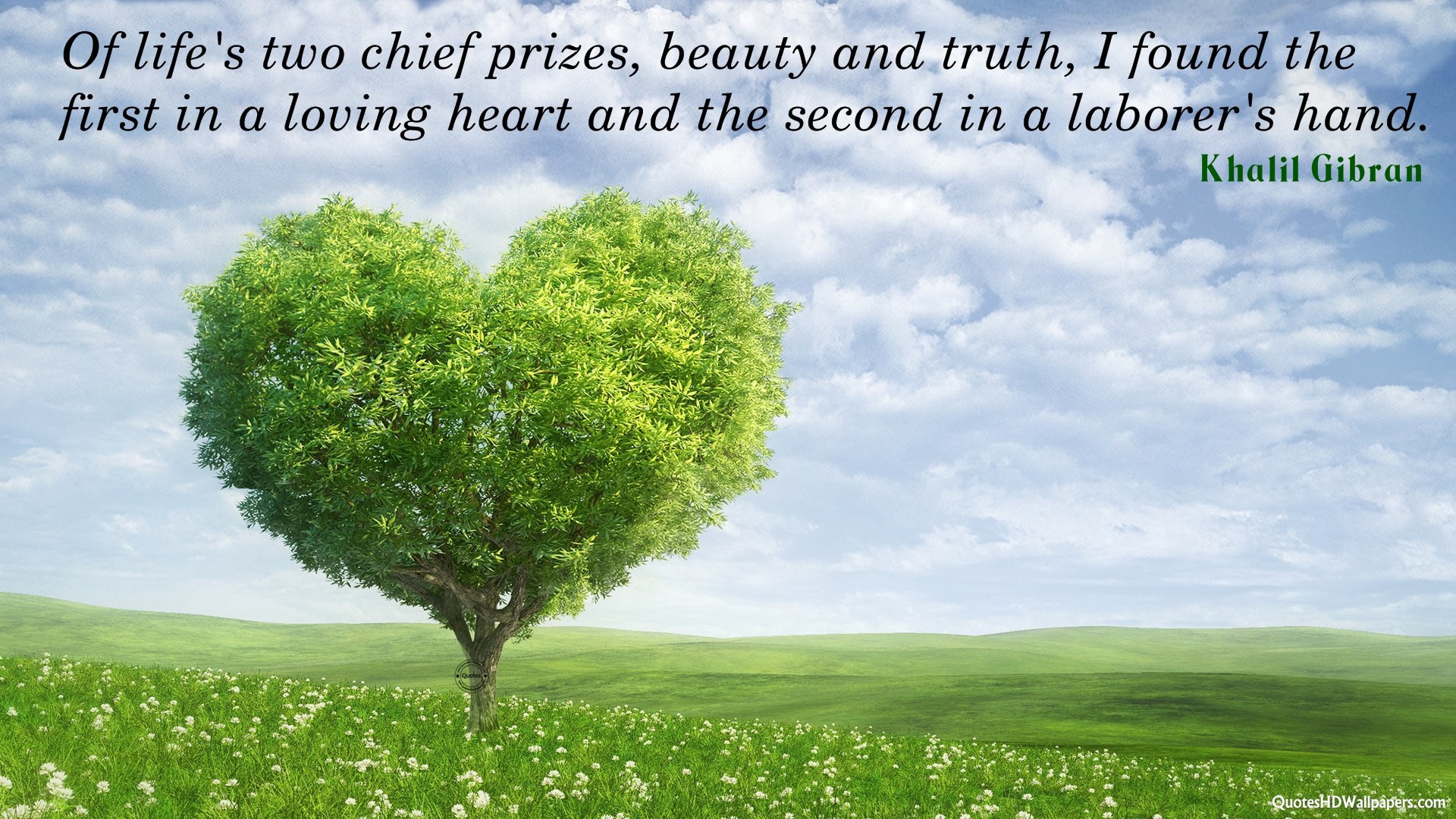 Trees Of Beauty Quotes. QuotesGram