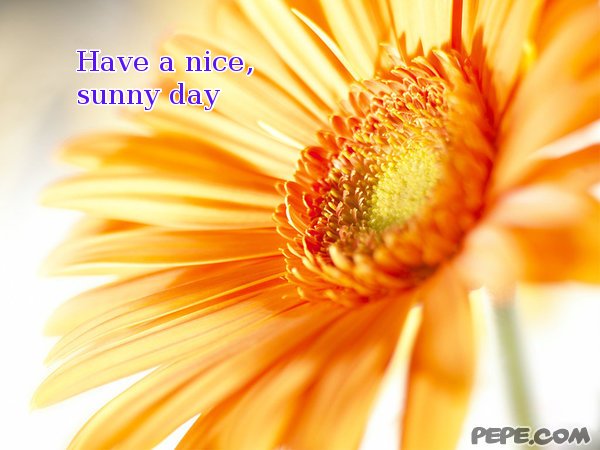 Sunny Day Quotes And Sayings. QuotesGram