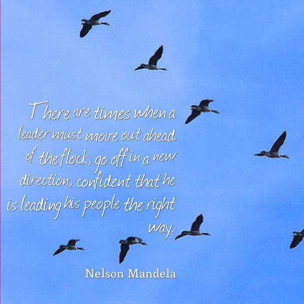 Quotes About Celebrating Life After Death. QuotesGram