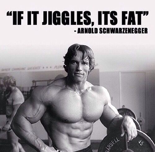Arnold Gym Quotes. Quotesgram
