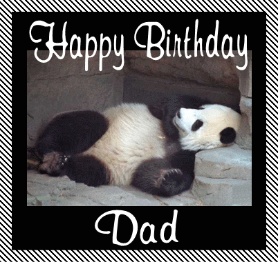 Hello Baby Panda Quotes Quotesgram