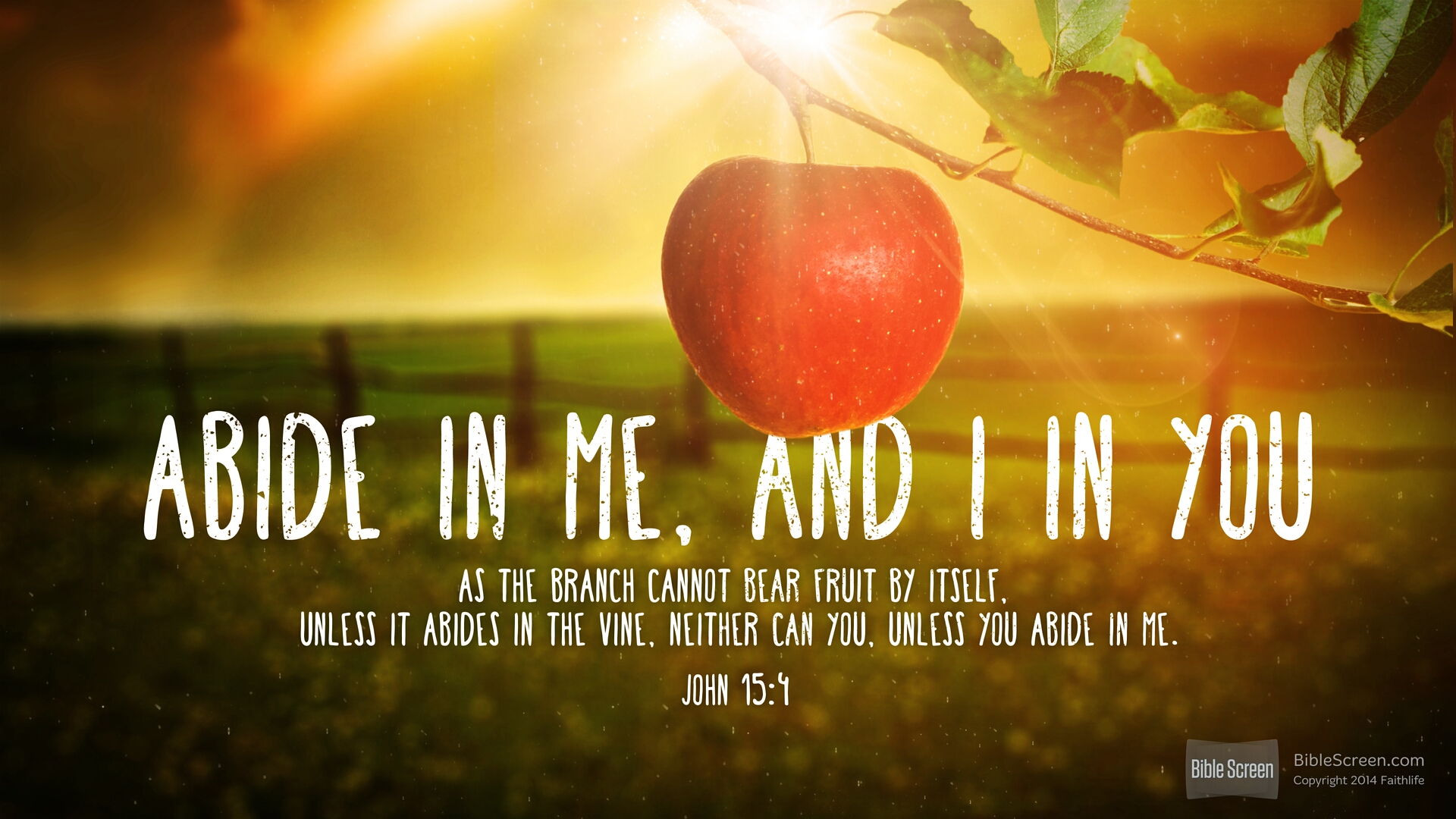 bible-quotes-john-3-15-quotesgram
