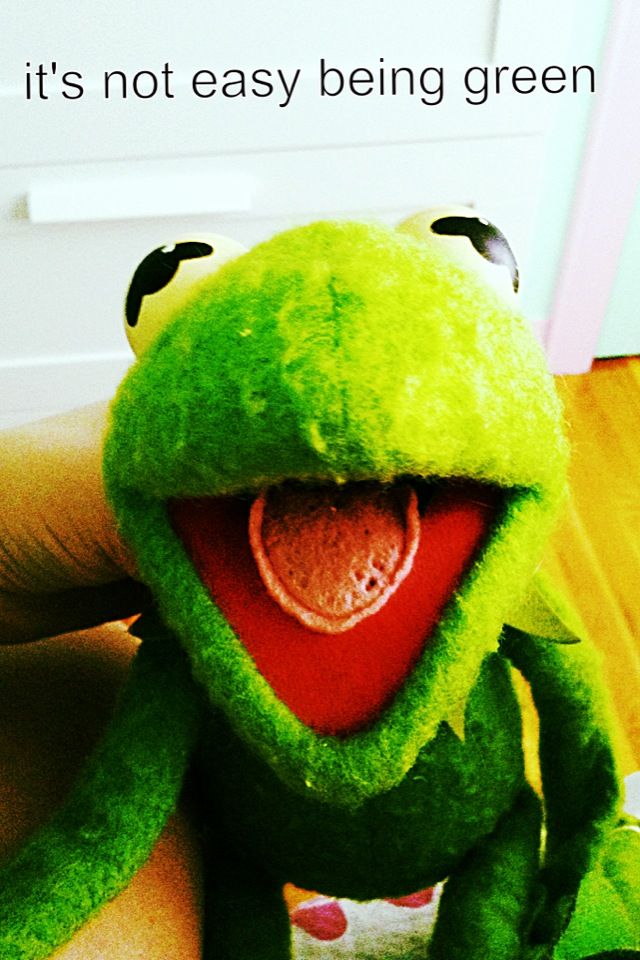 Kermit Quotes Love. QuotesGram