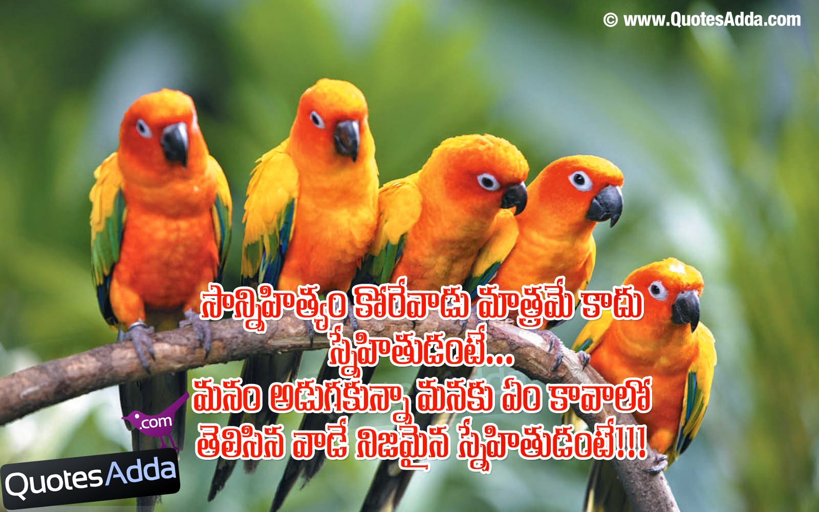 Sad Quotes About Friendship Telugu Quotesgram Mostly, we came across these funny dialogues between two persons at schools, colleges, universities, hospitals, offices, party with friends, etc. sad quotes about friendship telugu