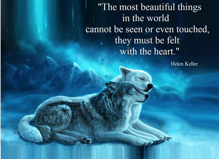 Awesome Wolf Quotes. QuotesGram