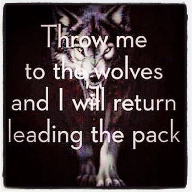 wolves the things you didnt know essay 10 things you didn't know about president bill clinton 10 things you didn't know about he won for narrating a retelling of peter and the wolf. wolves the things you didnt know essay 10 things you didn't know about president bill clinton 10 things you didn't know about he won for narrating a retelling of peter and the wolf.