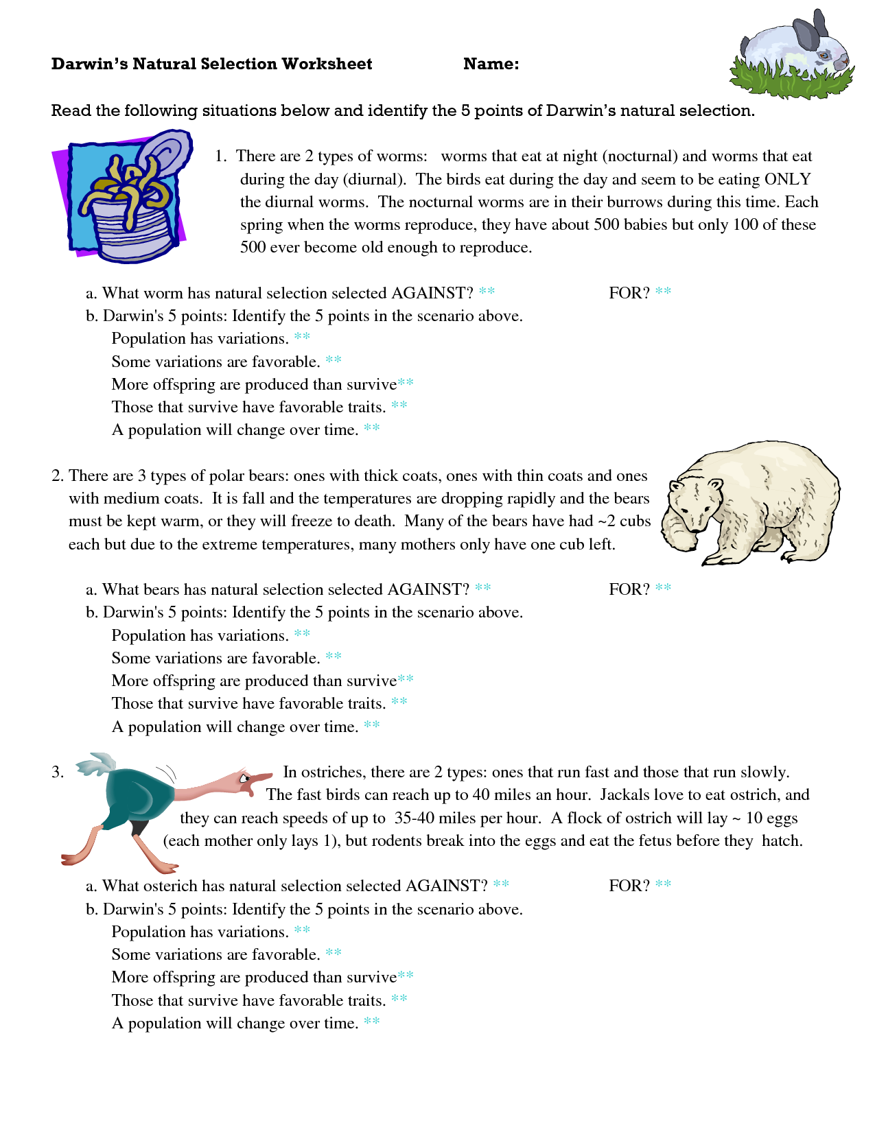 Darwins Natural Selection Worksheet Answers / Evolution Worksheet 1
