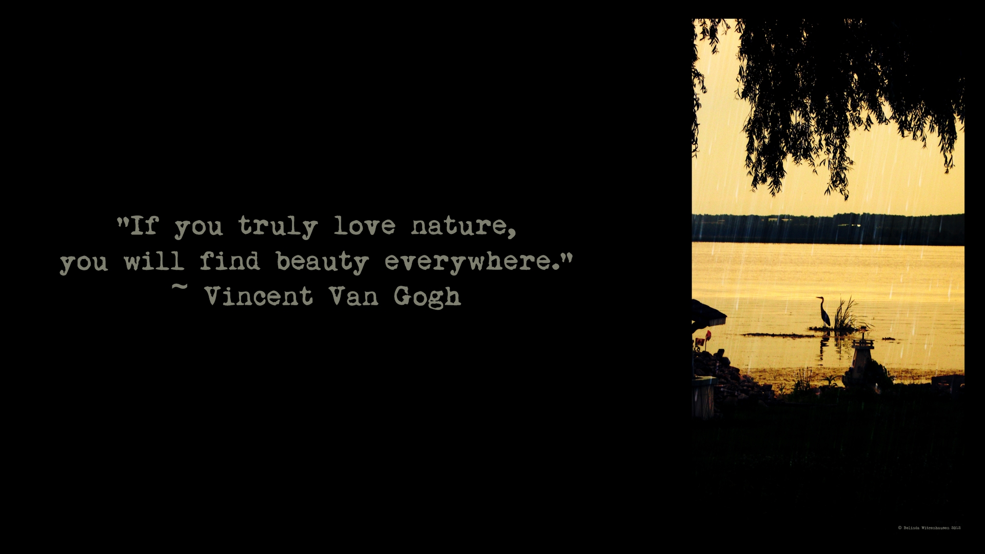 Quotes About Vans Quotesgram