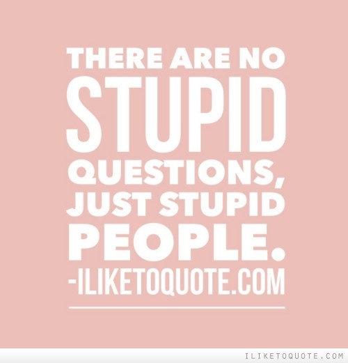 Quotes About Stupid Questions Quotesgram