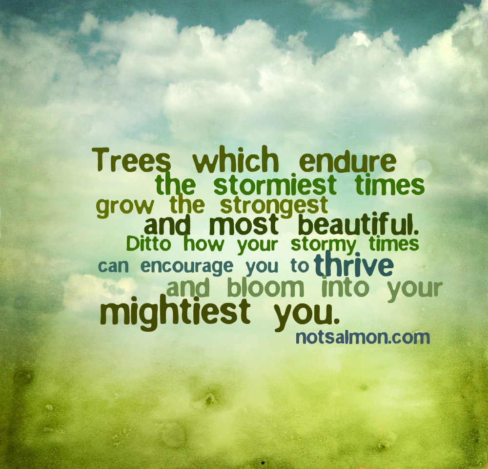 Bloom Inspirational Quotes QuotesGram