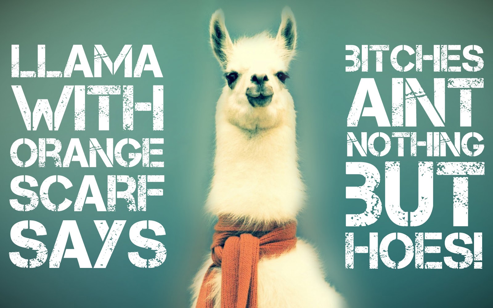 Funny Quotes About Llamas QuotesGram