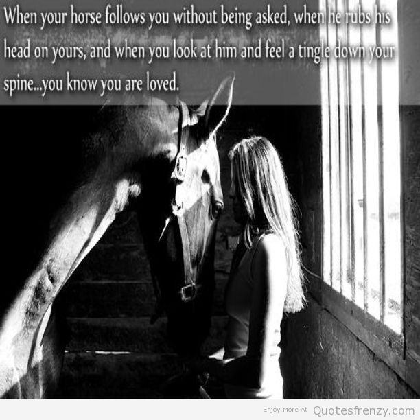 Horse Quotes And Sayings For Girls. QuotesGram