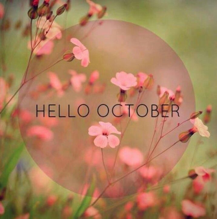 Hello October Quotes Quotesgram