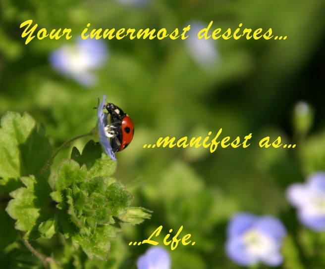 Zen Nature Quotes. QuotesGram