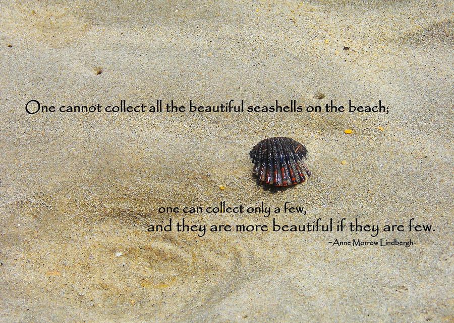 Seashell Poems And Quotes. QuotesGram