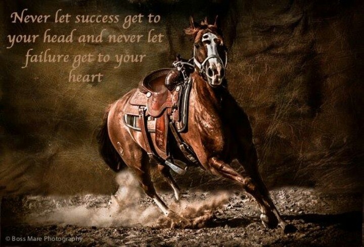 Horse Trainer Quotes Funny Quotesgram Horse Trainer Quotes Funny Quotesgram