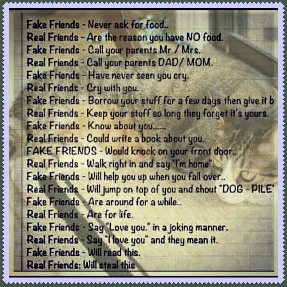 Fake Friends Vs Real Friends Quotes. QuotesGram