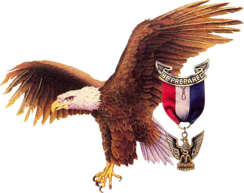 printable-eagle-scout-congratulations-letter