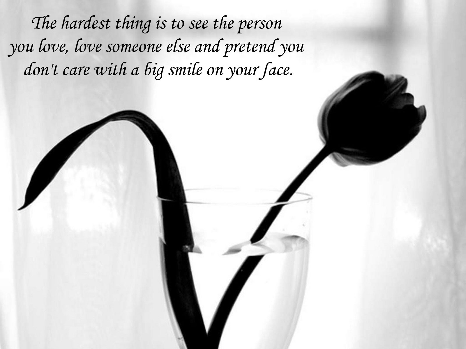 I Love Him He Loves Her Quotes Quotesgram I Love Him He Loves Her Quotes Quotesgram