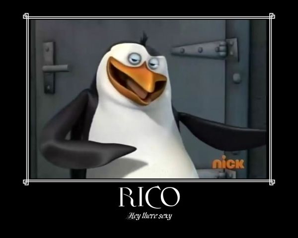 Madagascar Penguins Quotes Quotesgram