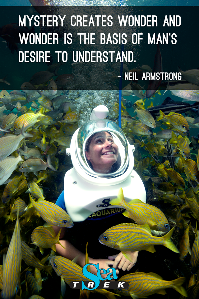 Neil Armstrong Quotes Inspirational. QuotesGram