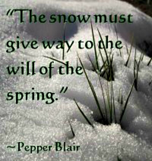 Snow Day Quotes Happy Quotesgram