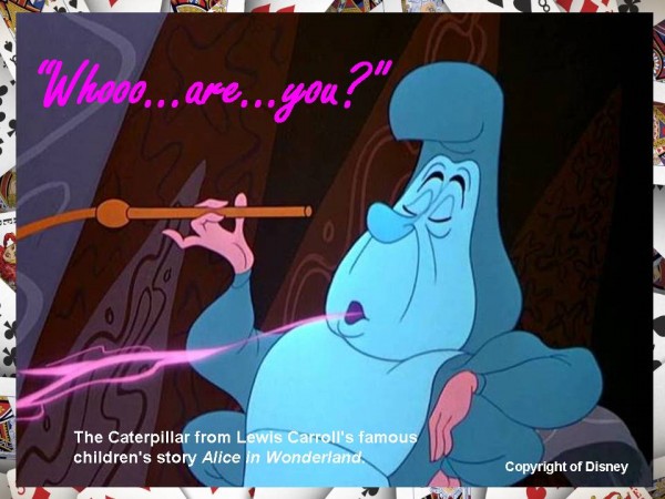 Who Are You Alice In Wonderland Quotes Quotesgram Who Are You Alice In Wonderland Quotes Quotesgram