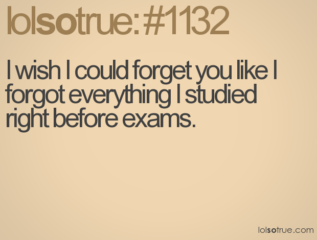 Funny Exam Quotes. QuotesGram