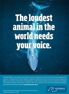 Animal Conservation Quotes. QuotesGram