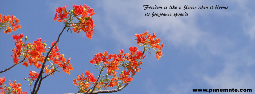 400 X 150 Pixels Quotes. QuotesGram