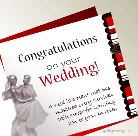  Best Wishes Wedding Wishes Quotes Marriage. QuotesGram