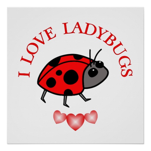 Ladybug Love Quotes. QuotesGram