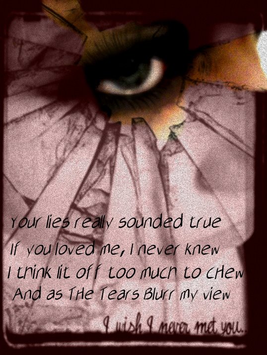 I Wish I Never Met You Quotes. QuotesGram I Wish I Never Met You Quotes. QuotesGram