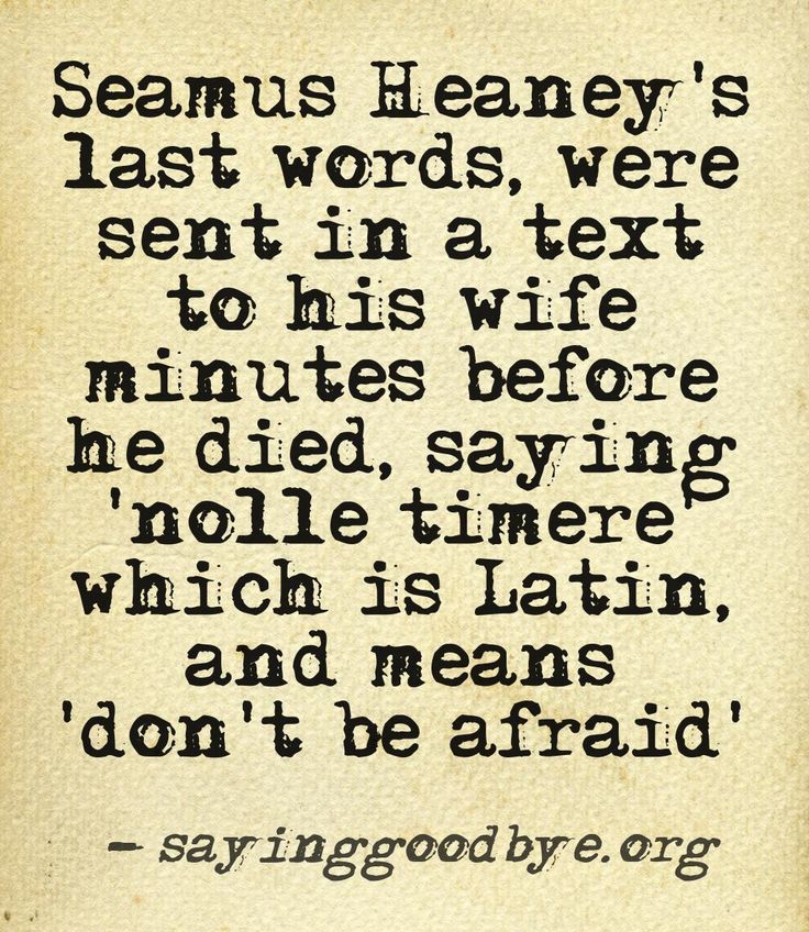 Seamus Heaney Quotes On Death. QuotesGram
