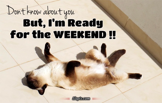 Weekend weekend we can. At the weekend или. Картинки funny weekend. At the weekend или for the weekend. Weekend выходные.