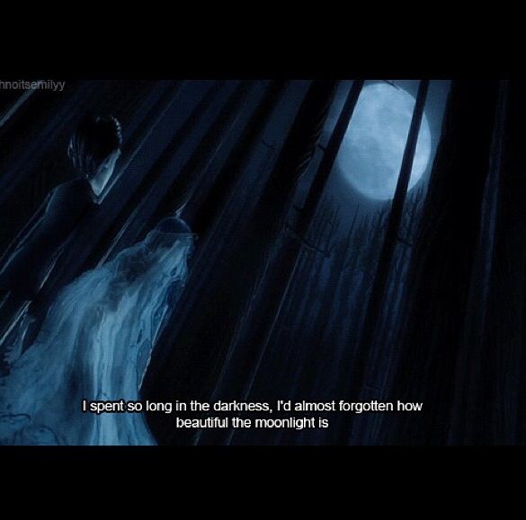 Quotes From Corpse Bride. QuotesGram