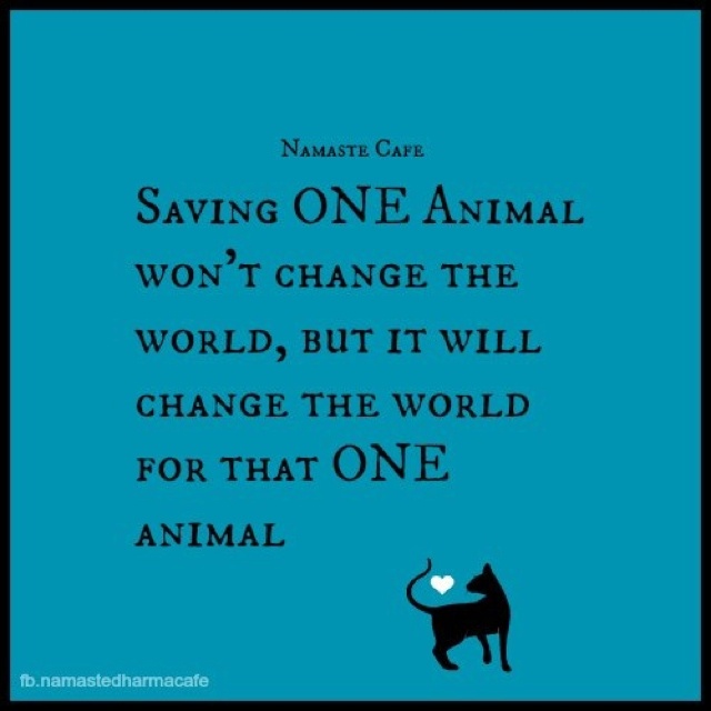 Quotes About Animal Extinction. QuotesGram