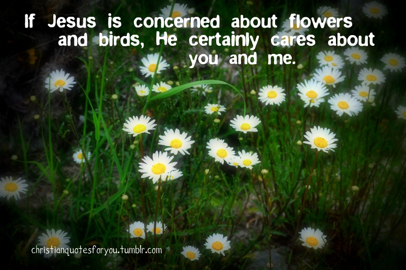 Christian Quotes About Flowers. QuotesGram