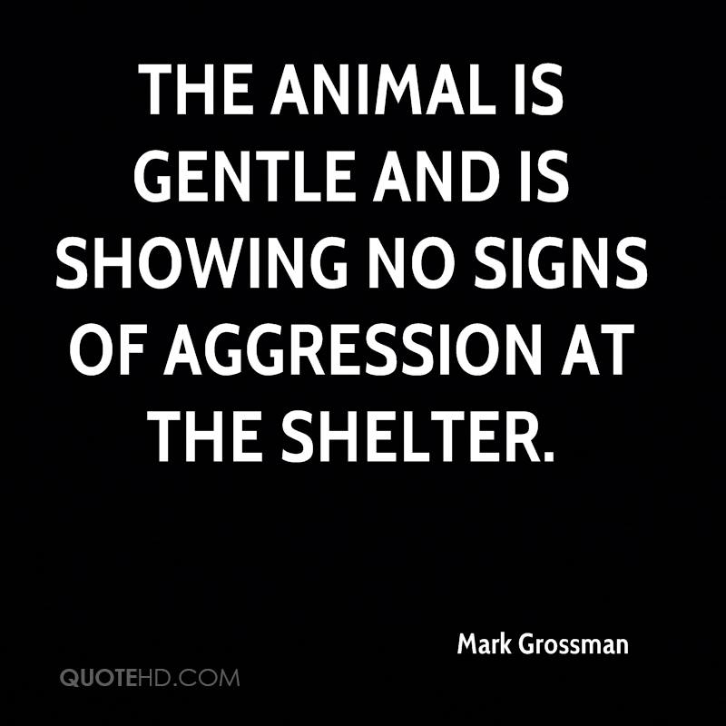 Quotes About Shelter QuotesGram quotes-about-shelter-quotesgram